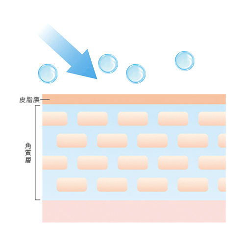 従来浸透イメージ