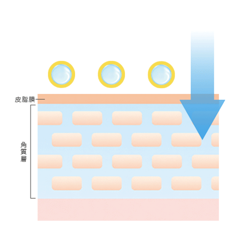 nanoPDS浸透イメージ