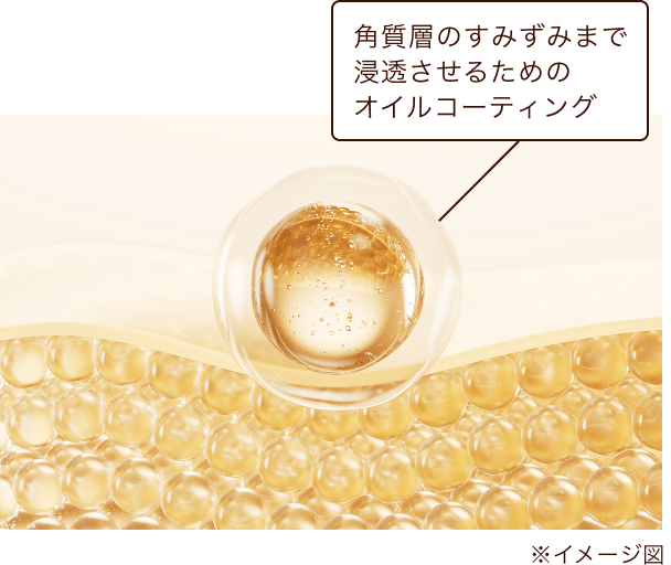 nanoPDS技術（イメージ図）